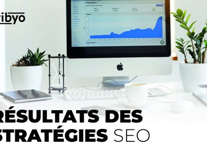 Pourquoi les résultats des stratégies SEO sont longs à apparaître?