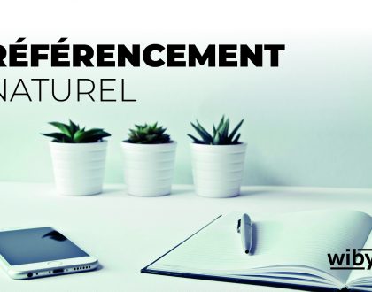 Les indicateurs de performance dans l'analyse SEO.